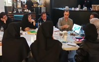 کارگاه ملی اصول و استانداردهای نظام شبکه و پزشکی خانواده  