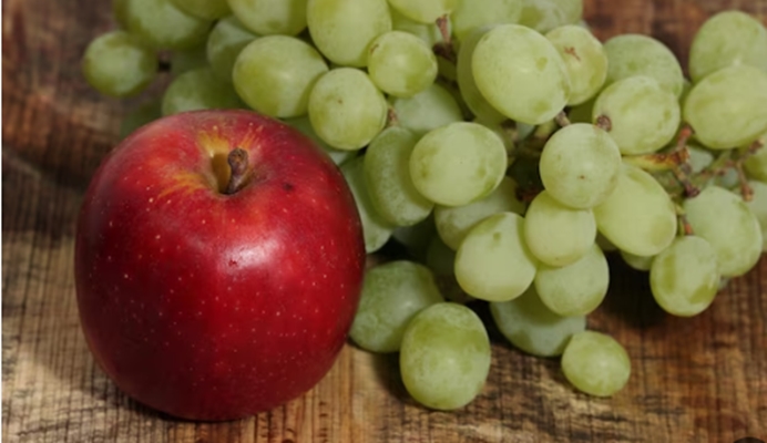 صدور 135 گواهی بهداشتی صادرات سیب و انگور به کشور روسیه 